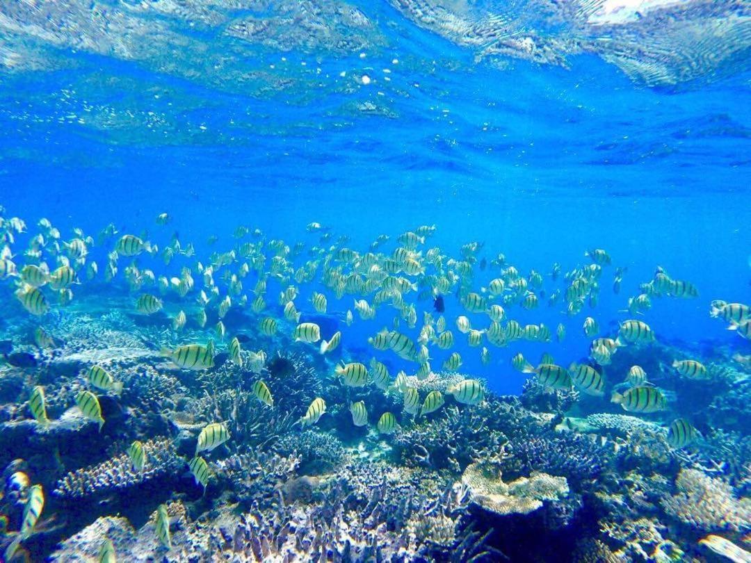 Korovou Eco Lodge Naviti Island Eksteriør billede
